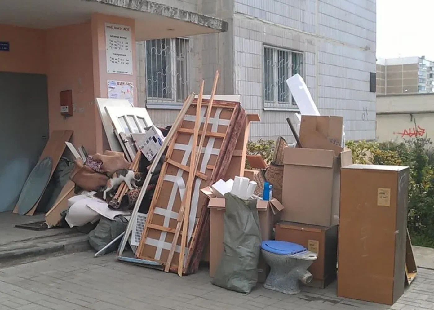 Профессиональный вывоз мусора из квартиры в Серпухове в октябре
