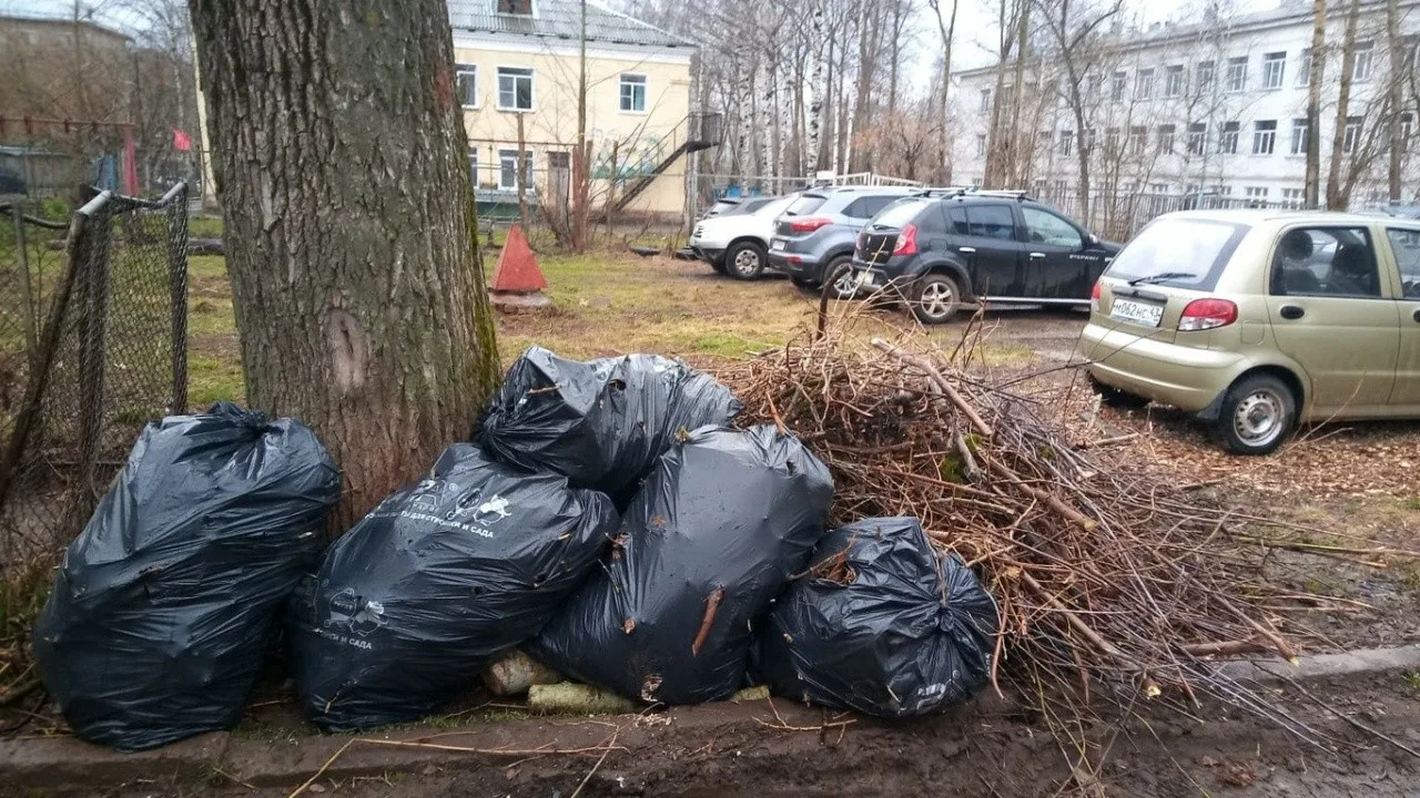 Вывоз мусора после субботника в Серпухове от ПроМусор – уборка и утилизация отходов от 2388 руб