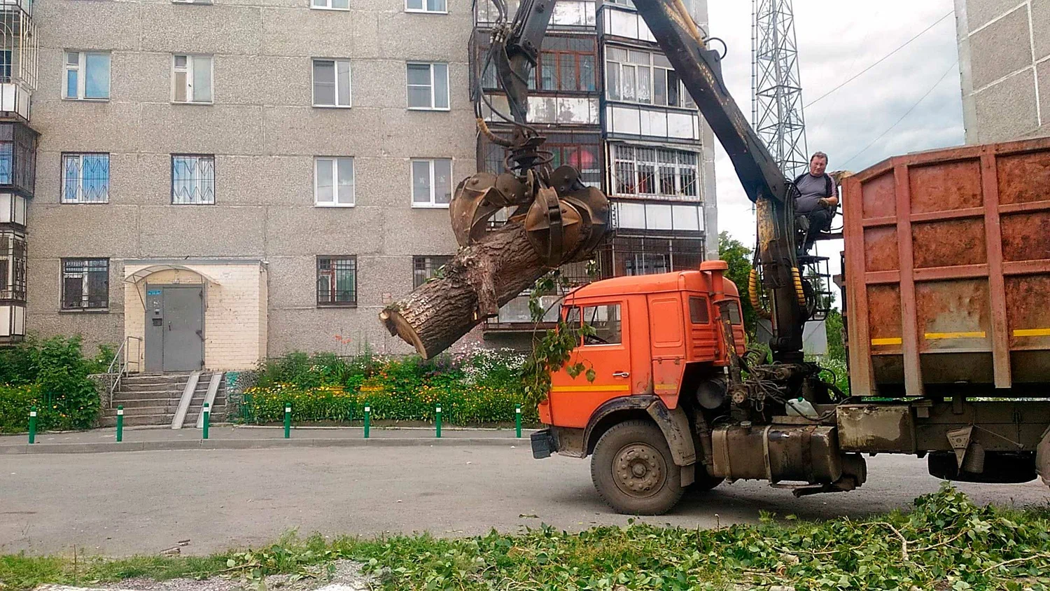 Вывоз спиленных веток и деревьев в Серпухове от ПроМусор: порубочные остатки, утилизация, цена от 2947 руб