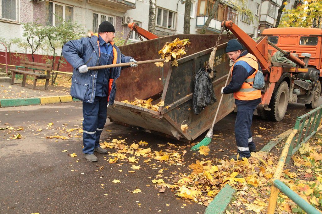Вывоз опавшей листвы и растительного мусора в Серпухове от ПроМусор – цена от 4572 руб., быстрая уборка и утилизация